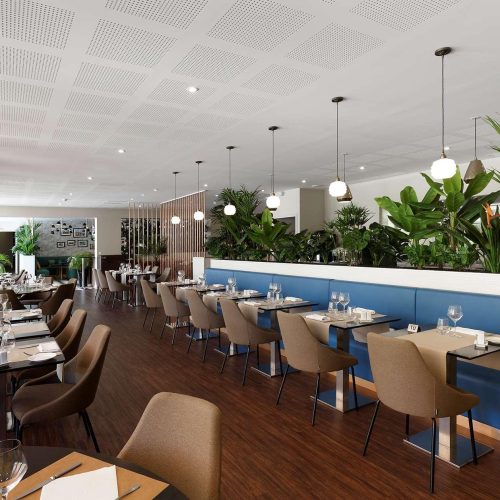 ice-99829912-60601346_3XL-445260